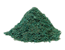 BARIL DE POUDRE À BALAYER VERTE 220LBS/100KG