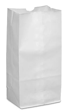 SACS PAPIER BLANC 1LBS 9.5x7x3.5 500/CS
