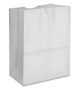 SACS PAPIER BLANC 20LBS 500/C
