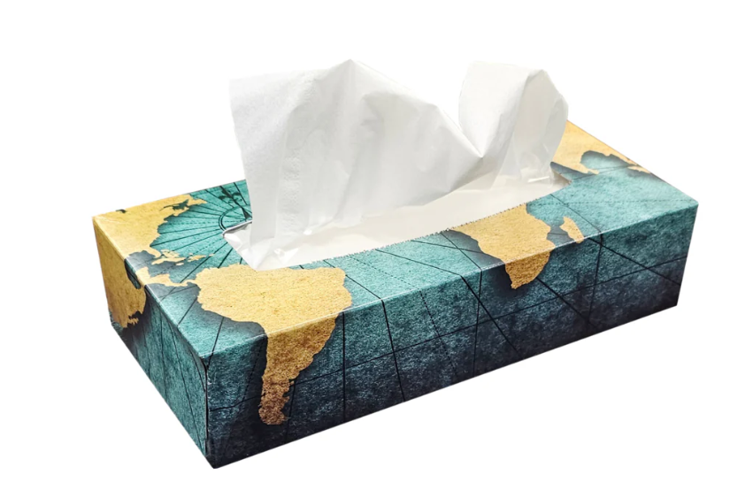 GLB-FT100 PAPIER MOUCHOIR 2 PLIS 30X100/CAISSE