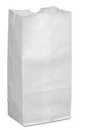 [793001] SACS BLANC 1LBS 9.5x7x3.5 500/CS