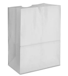 [793020] SACS BLANC 20LBS 500/C